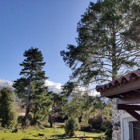 Casa Rural El Pinar Villa Navas de Riofrio Екстериор снимка
