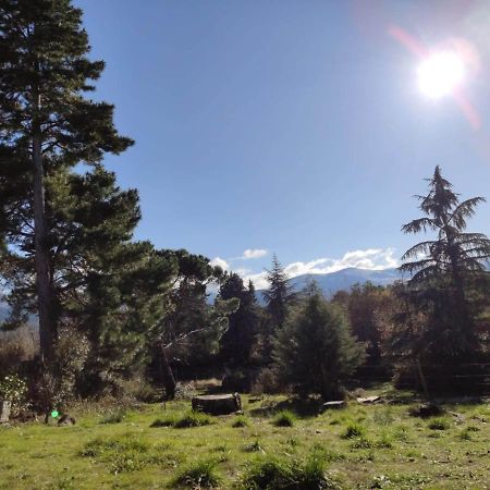Casa Rural El Pinar Villa Navas de Riofrio Екстериор снимка